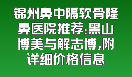 锦州鼻中隔软骨隆鼻医院推荐：黑山博美与解志博，附详细价格信息