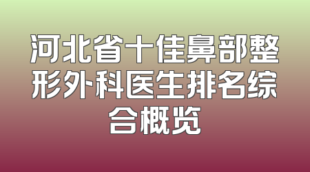河北省十佳鼻部整形外科医生排名综合概览