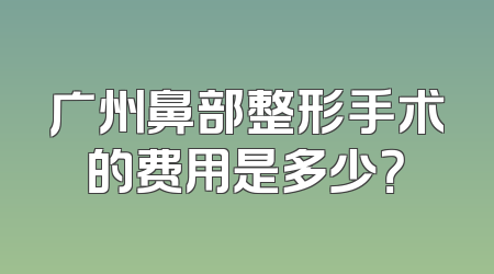 广州鼻部整形手术的费用是多少？