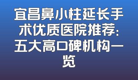 宜昌鼻小柱延长手术优质医院推荐：五大高口碑机构一览