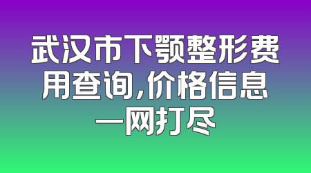 武汉市下颚整形费用查询，价格信息一网打尽