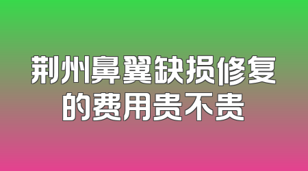 荆州鼻翼缺损修复的费用贵不贵