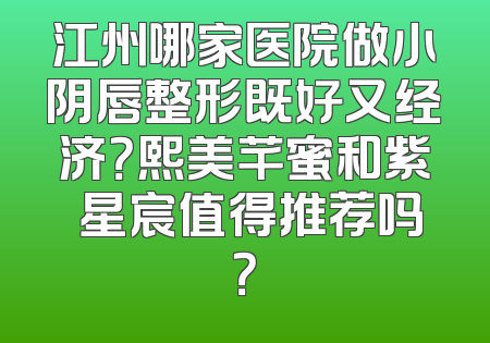 江州哪家医院做小阴唇整形既好又经济？熙美芊蜜和紫玥星宸值得推荐吗？