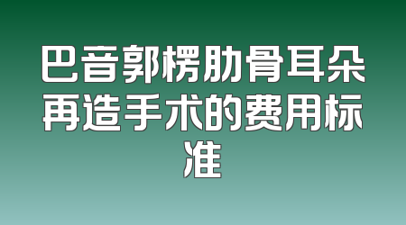 巴音郭楞肋骨耳朵再造手术的费用标准