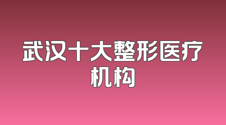 武汉十大整形医疗机构