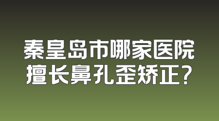 秦皇岛市哪家医院擅长鼻孔歪矫正？