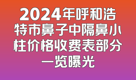 2024年呼和浩特市鼻子中隔鼻小柱价格收费表部分一览曝光