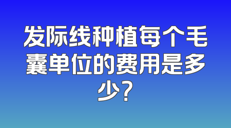 发际线种植每个毛囊单位的费用是多少？