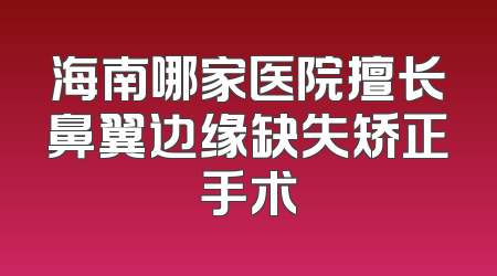 海南哪家医院擅长鼻翼边缘缺失矫正手术