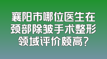 襄阳市哪位医生在颈部除皱手术整形领域评价颇高？