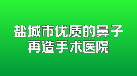 盐城市优质的鼻子再造手术医院