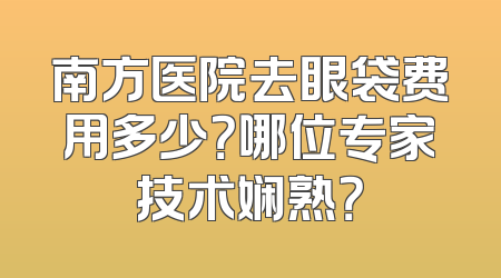 南方医院去眼袋费用多少？哪位专家技术娴熟？