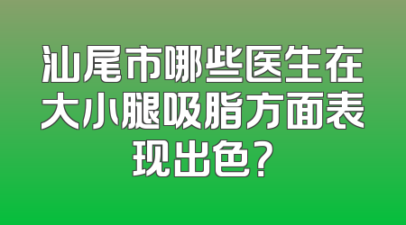 汕尾市哪些医生在大小腿吸脂方面表现出色？