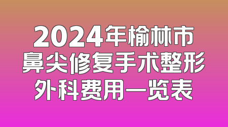 2024年榆林市鼻尖修复手术整形外科费用一览表