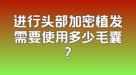 进行头部加密植发需要使用多少毛囊？