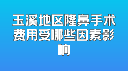 玉溪地区隆鼻手术费用受哪些因素影响