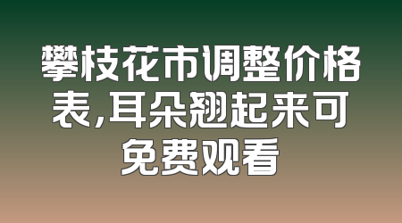 攀枝花市调整价格表，耳朵翘起来可免费观看