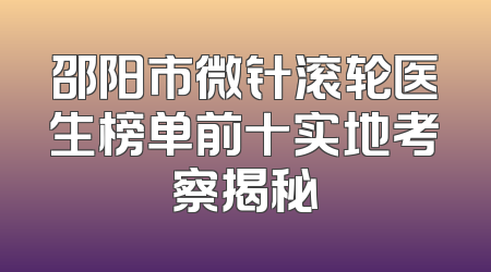 邵阳市微针滚轮医生榜单前十实地考察揭秘