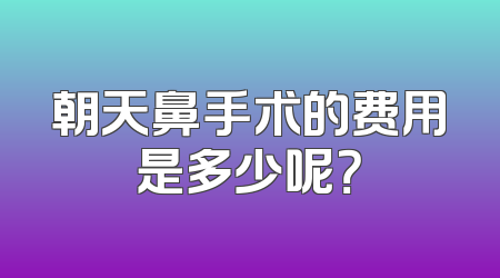 朝天鼻手术的费用是多少呢？