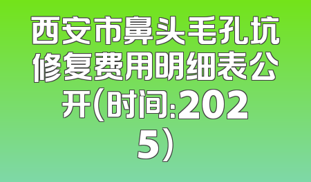 西安市鼻头毛孔坑修复费用明细表公开（时间：2025）