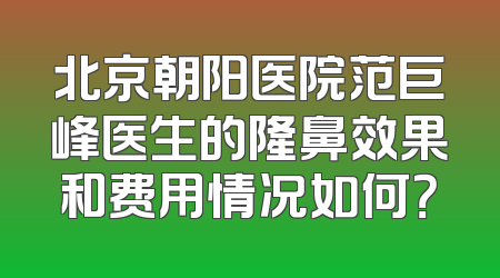 北京朝阳医院范巨峰医生的隆鼻效果和费用情况如何？