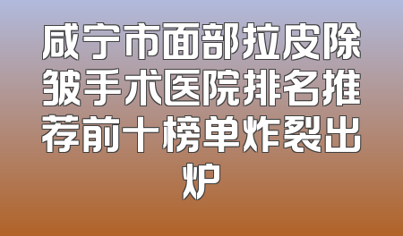 咸宁市面部拉皮除皱手术医院排名推荐前十榜单炸裂出炉