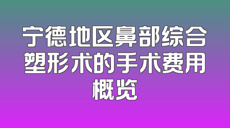 宁德地区鼻部综合塑形术的手术费用概览