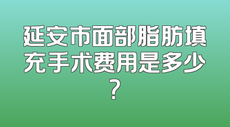 延安市面部脂肪填充手术费用是多少？