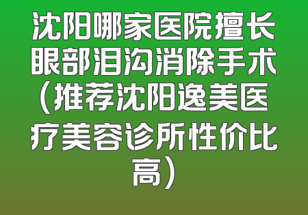 沈阳哪家医院擅长眼部泪沟消除手术（推荐沈阳逸美医疗美容诊所性价比高）