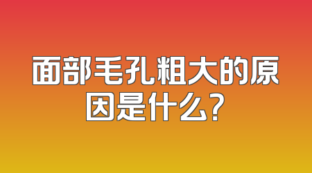 面部毛孔粗大的原因是什么？