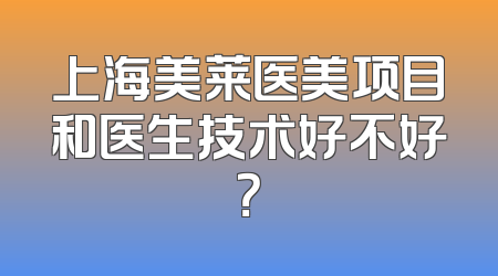 上海美莱医美项目和医生技术好不好？
