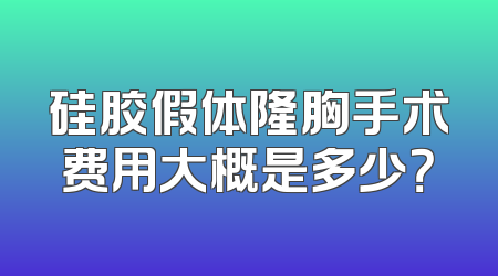 硅胶假体隆胸手术费用大概是多少？