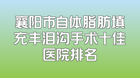 襄阳市自体脂肪填充丰泪沟手术十佳医院排名