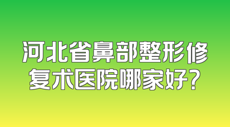 河北省鼻部整形修复术医院哪家好？
