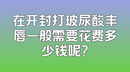 在开封打玻尿酸丰唇一般需要花费多少钱呢？