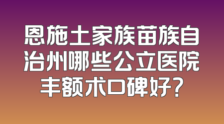 恩施土家族苗族自治州哪些公立医院丰额术口碑好？