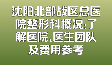 沈阳北部战区总医院整形科概况：了解医院、医生团队及费用参考