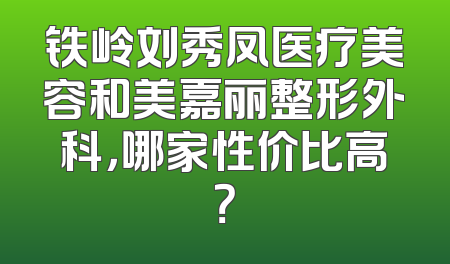 铁岭刘秀凤医疗美容和美嘉丽整形外科，哪家性价比高？