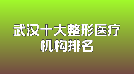 武汉十大整形医疗机构排名