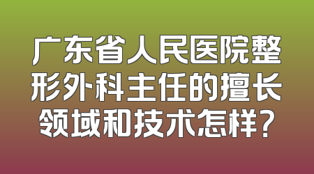 广东省人民医院整形外科主任的擅长领域和技术怎样？