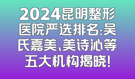 2024昆明整形医院严选排名：吴氏嘉美、美诗沁等五大机构揭晓！