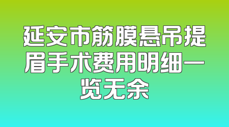 延安市筋膜悬吊提眉手术费用明细一览无余