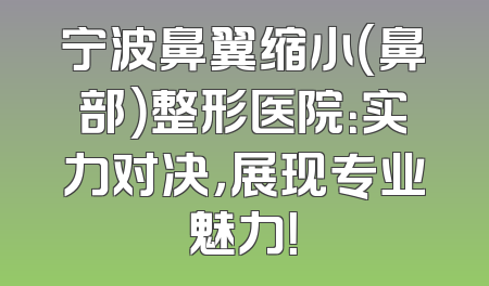 宁波鼻翼缩小（鼻部）整形医院：实力对决，展现专业魅力！