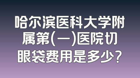 哈尔滨医科大学附属第（一）医院切眼袋费用是多少？