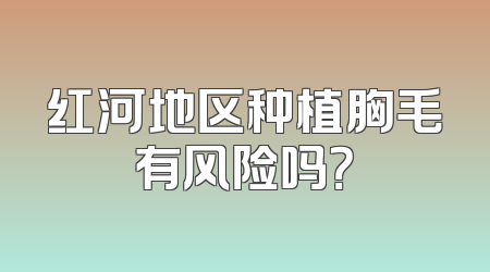 红河地区种植胸毛有风险吗？