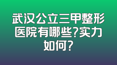 武汉公立三甲整形医院有哪些？实力如何？