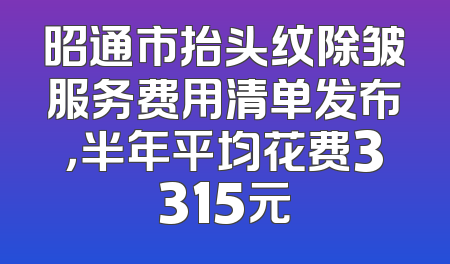 昭通市抬头纹除皱服务费用清单发布，半年平均花费3315元