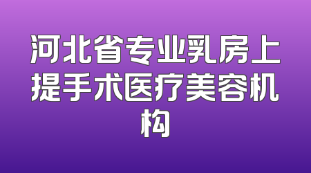 河北省专业乳房上提手术医疗美容机构