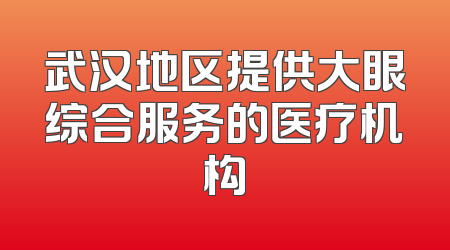 武汉地区提供大眼综合服务的医疗机构