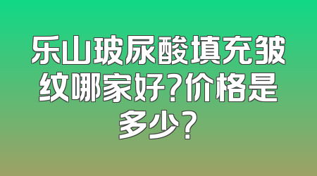 乐山玻尿酸填充皱纹哪家好？价格是多少？
